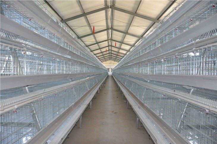 Zinc-Aluminum-alloy-coated wire for Poultry